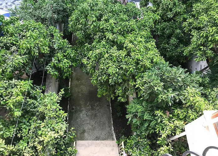 Nina Guest House